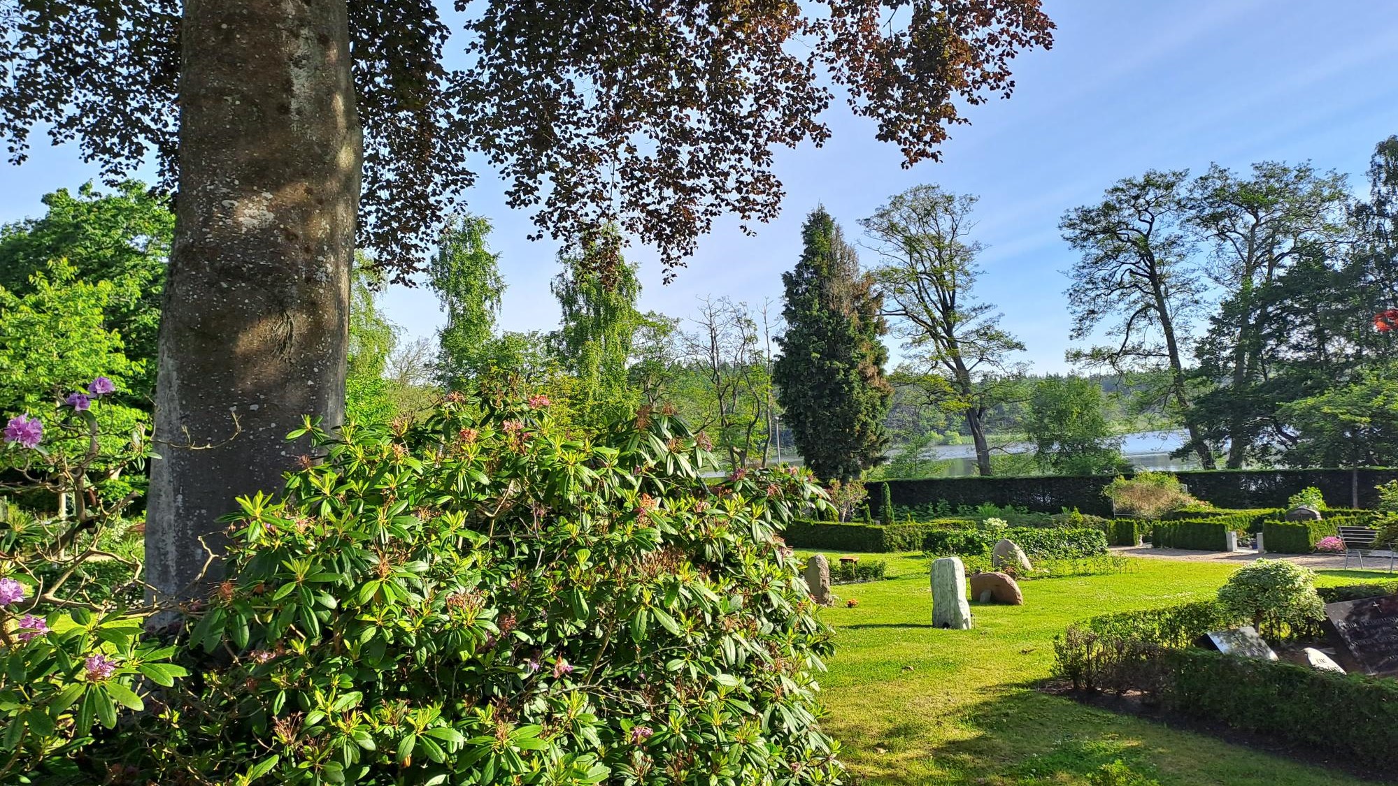 spredning over havet